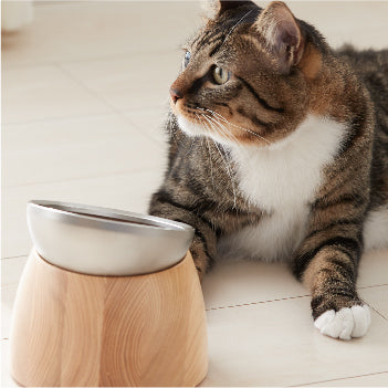 ディナーを楽しくするフードボウル swelltone.