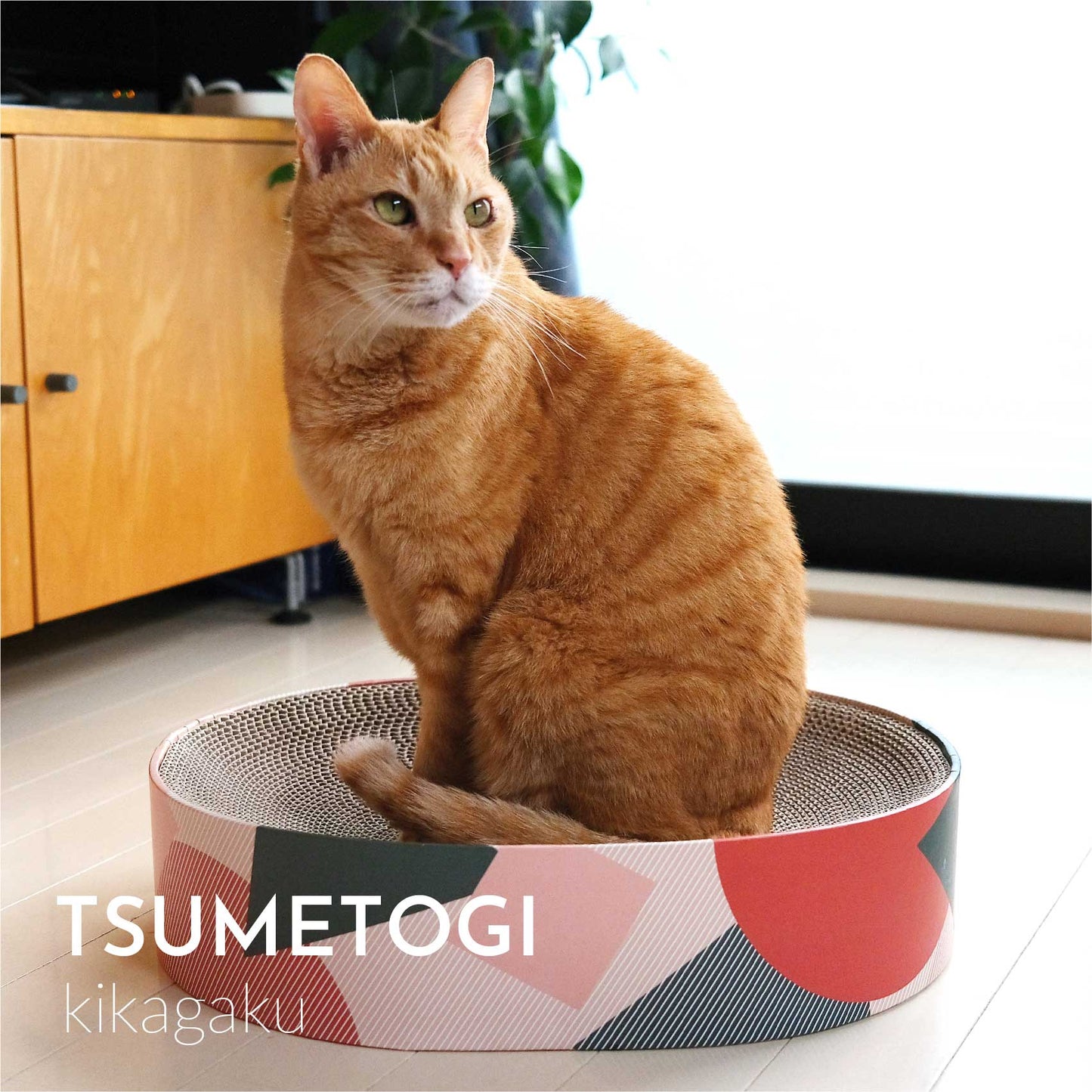 TSUMETOGI -kikagaku-